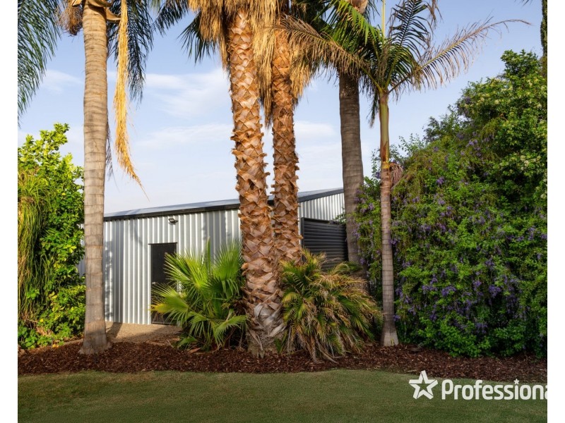 158 Sixteenth Street, Mildura VIC 3500