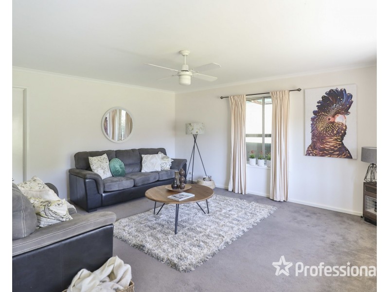 6 Myrtle Court, Irymple VIC 3498
