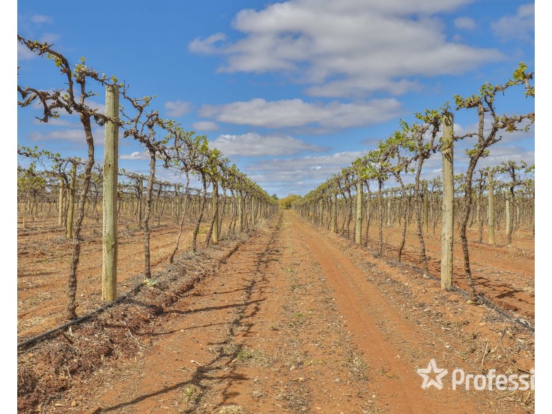 Block/104 Devenport Street, Dareton NSW 2717