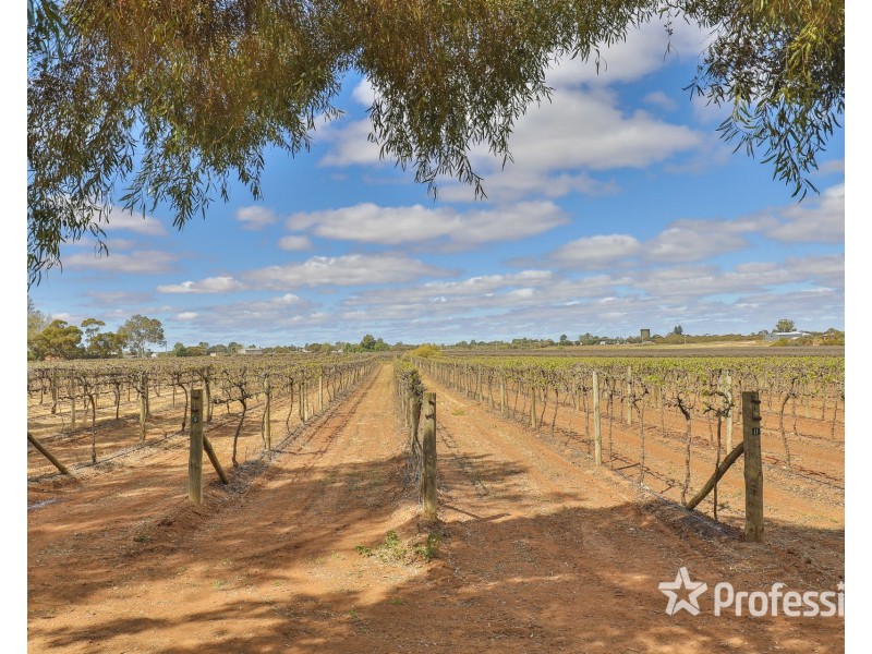 Block/104 Devenport Street, Dareton NSW 2717