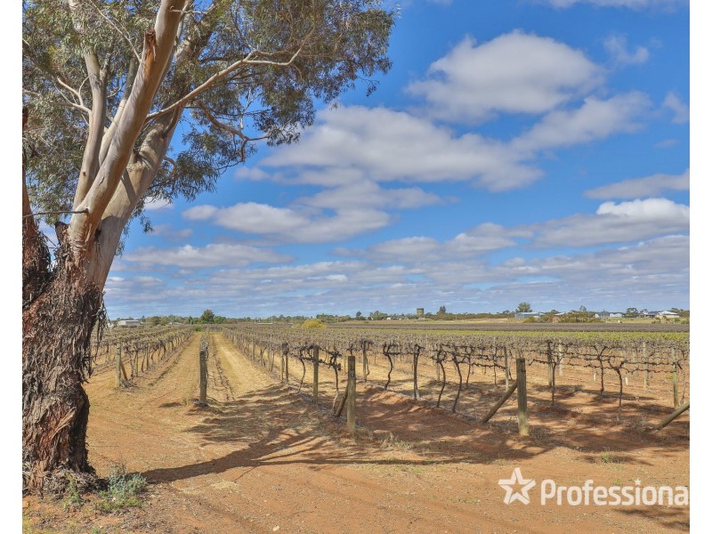 Block/104 Devenport Street, Dareton NSW 2717