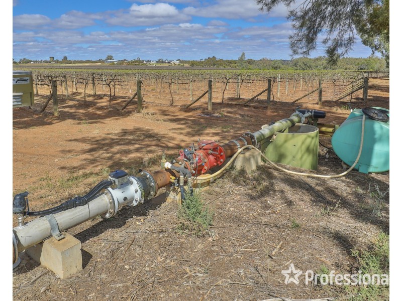 Block/104 Devenport Street, Dareton NSW 2717