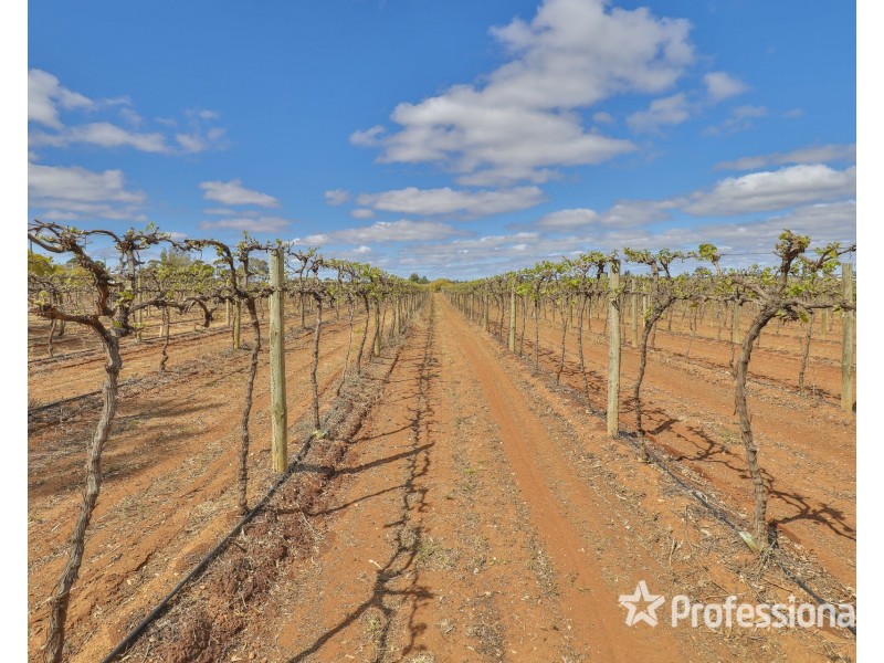 Block/104 Devenport Street, Dareton NSW 2717