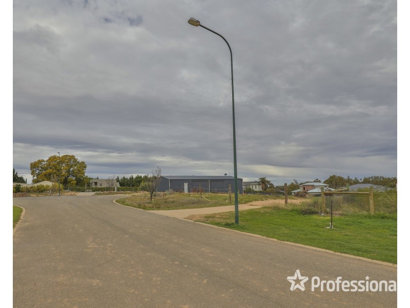 18 Panuccio Rise, Gol Gol NSW 2738