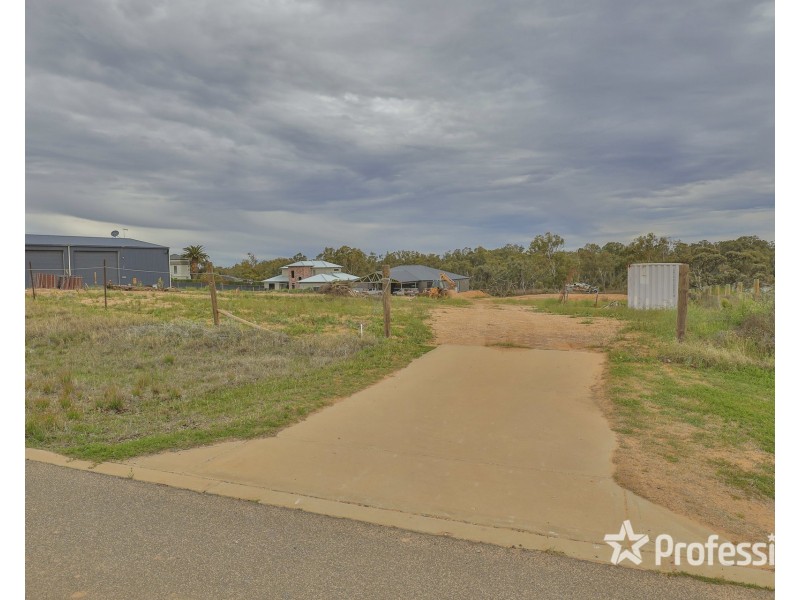 18 Panuccio Rise, Gol Gol NSW 2738