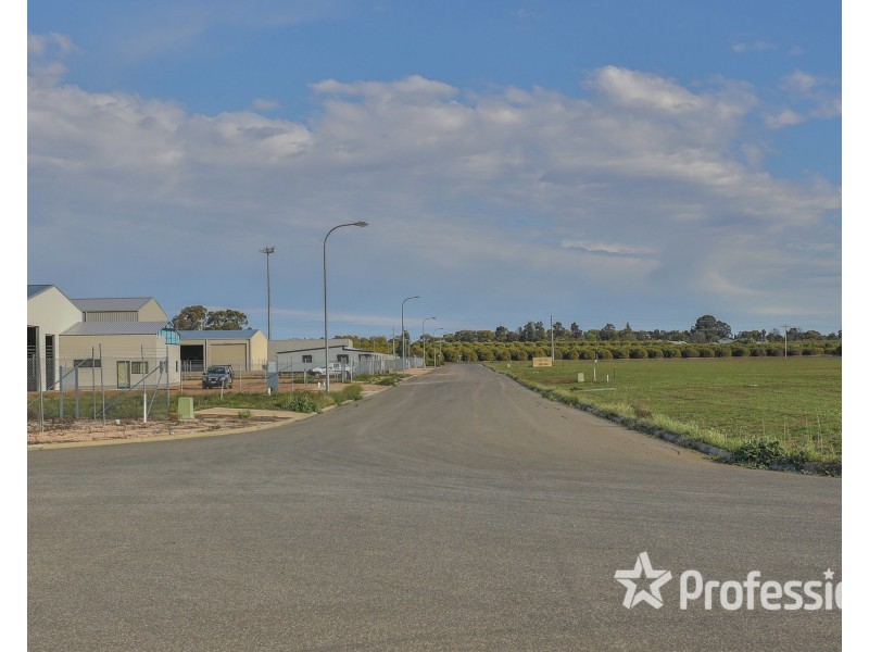 14-22 Modica Crescent, Buronga NSW 2739