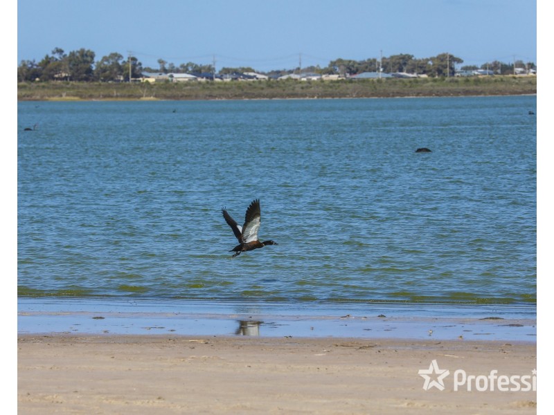 181-239 Mcedward Street, Cabarita VIC 3505