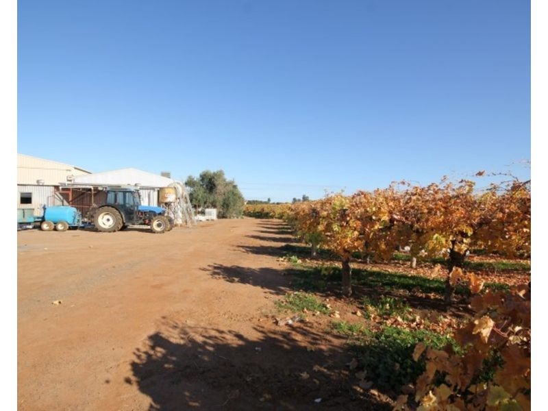 473 Coorong Avenue, Red Cliffs VIC 3496