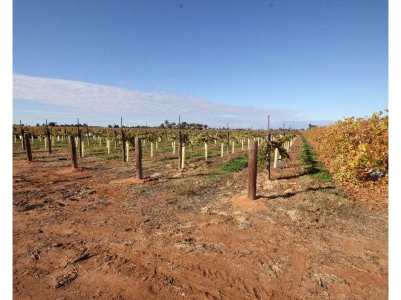 473 Coorong Avenue, Red Cliffs VIC 3496