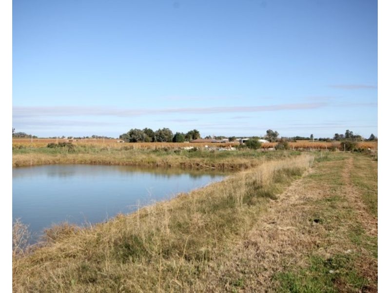 473 Coorong Avenue, Red Cliffs VIC 3496