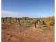 473 Coorong Avenue, Red Cliffs VIC 3496