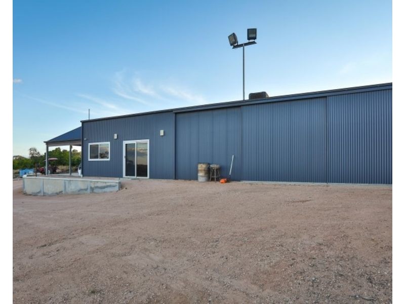 29 Fern Avenue, Nichols Point VIC 3501