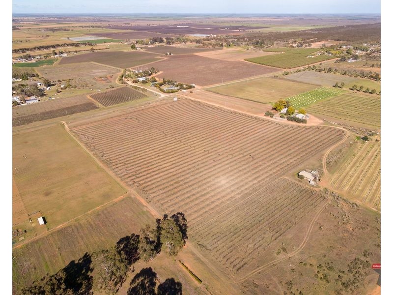 486-479 Trioda Street, Red Cliffs VIC 3496