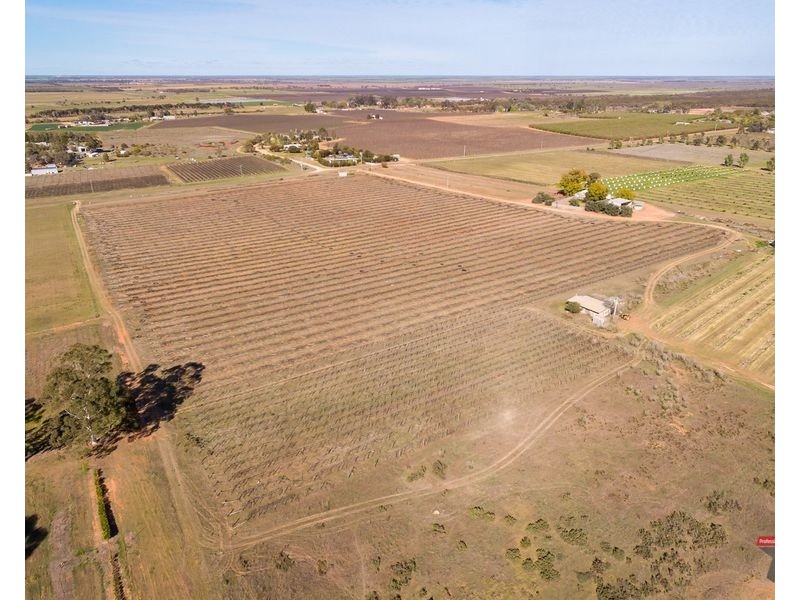 486-479 Trioda Street, Red Cliffs VIC 3496