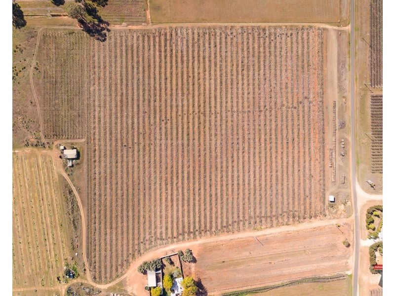 486-479 Trioda Street, Red Cliffs VIC 3496