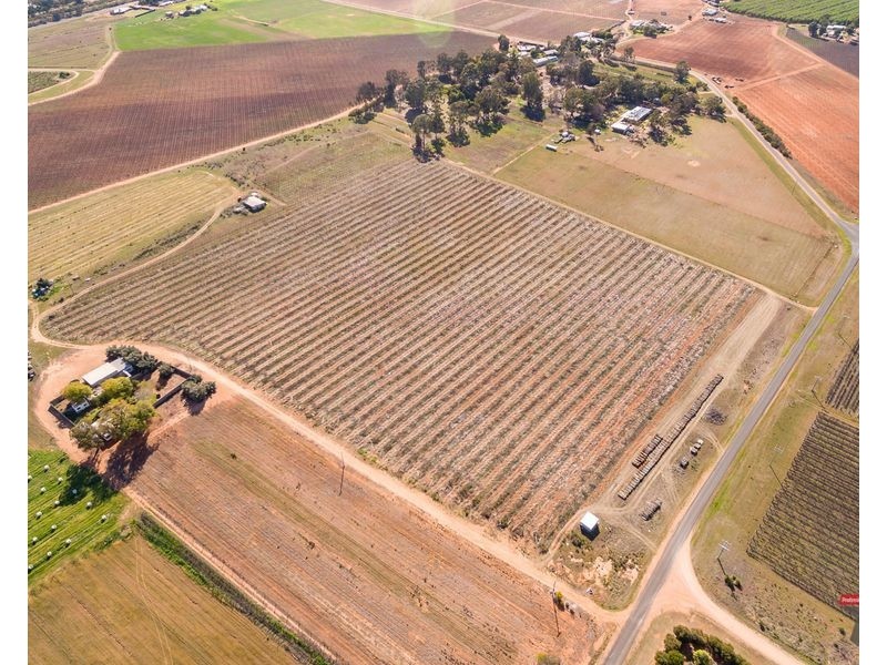 486-479 Trioda Street, Red Cliffs VIC 3496