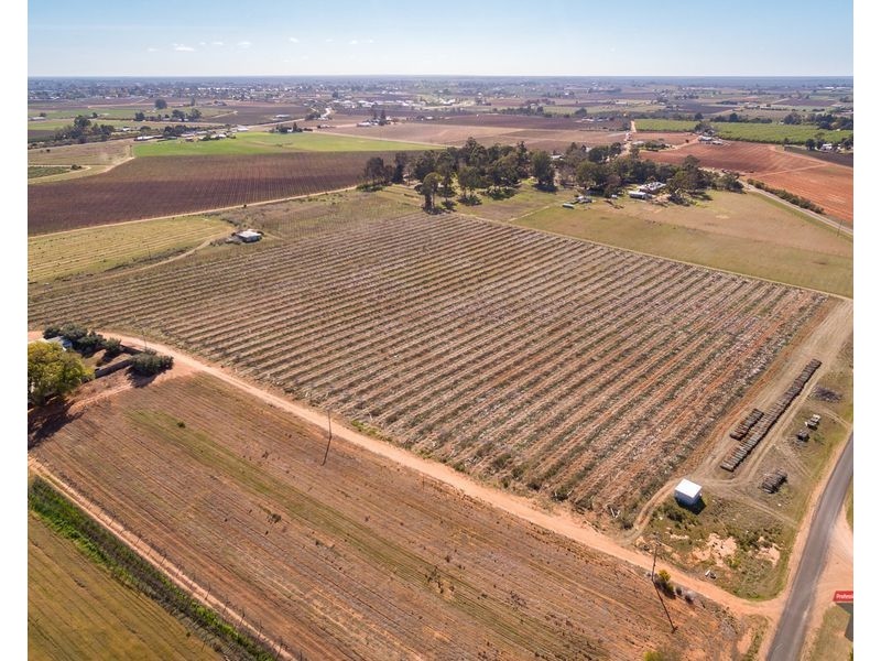 486-479 Trioda Street, Red Cliffs VIC 3496