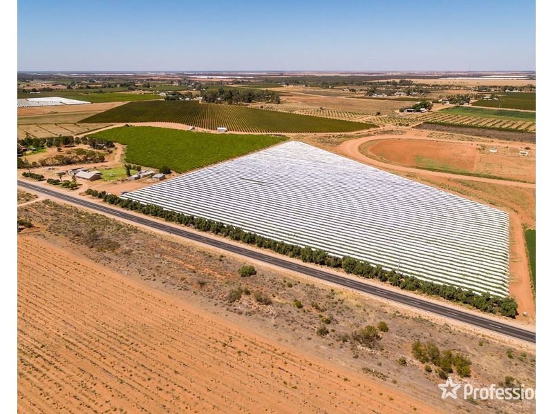 301 Millewa Road, Red Cliffs VIC 3496