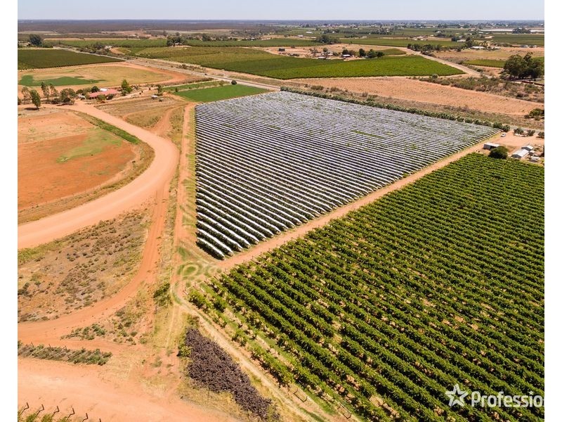 301 Millewa Road, Red Cliffs VIC 3496