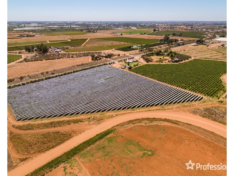 301 Millewa Road, Red Cliffs VIC 3496