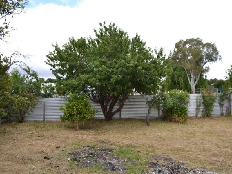 3 Dimora Avenue, Camperdown VIC 3260