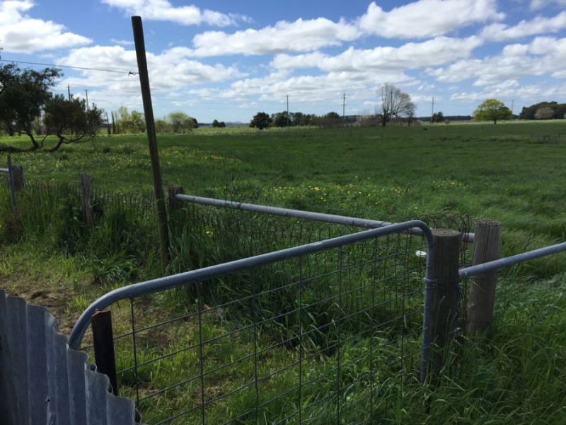 54 Cressy Street, Camperdown VIC 3260