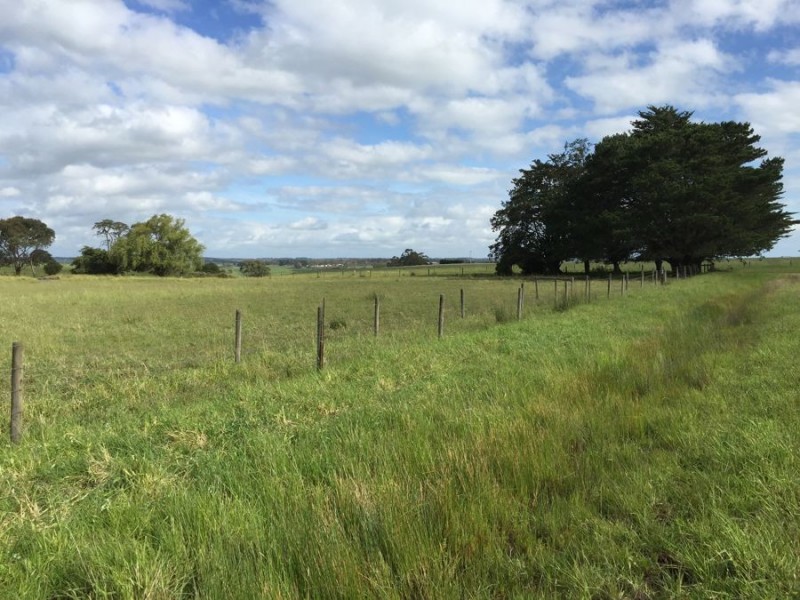LOT 45 SAVAGES ROAD, Cobden VIC 3266