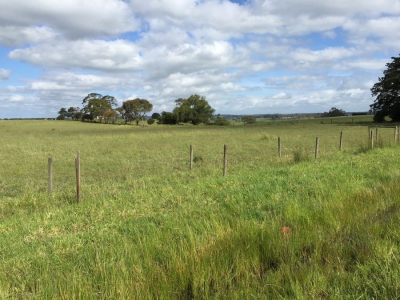 LOT 45 SAVAGES ROAD, Cobden VIC 3266