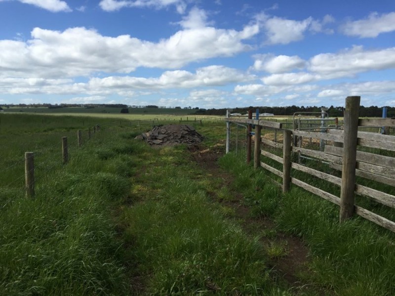 Lot 4 Cobden-Terang Road, Cobden VIC 3266
