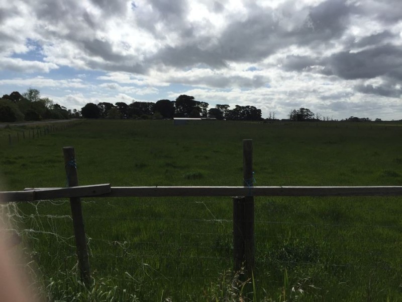 Lot 4 Cobden-Terang Road, Cobden VIC 3266