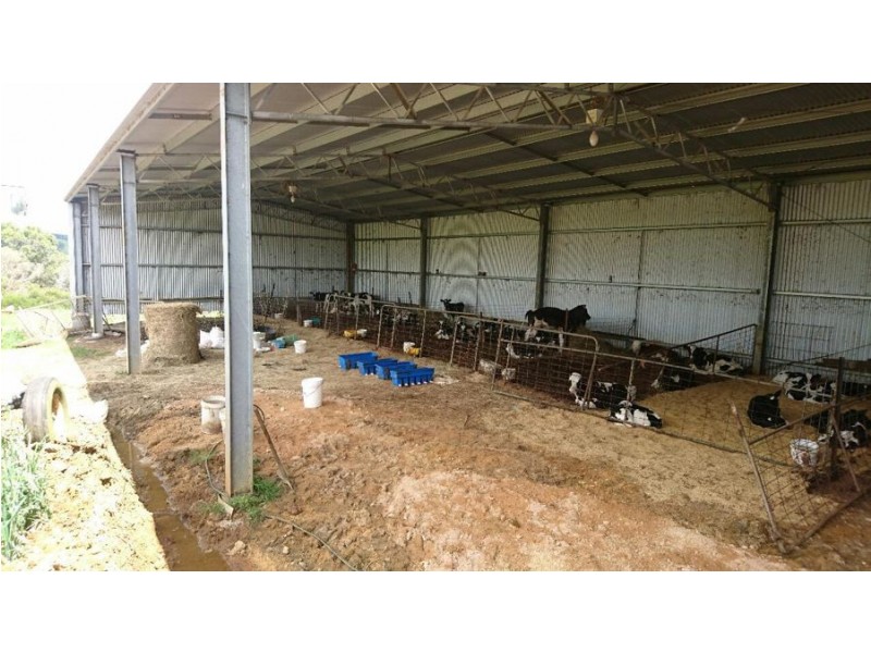 409 Turrong Road, Cooriemungle VIC 3268