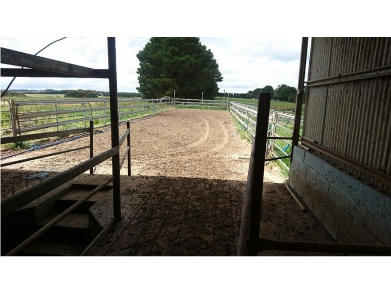 409 Turrong Road, Cooriemungle VIC 3268