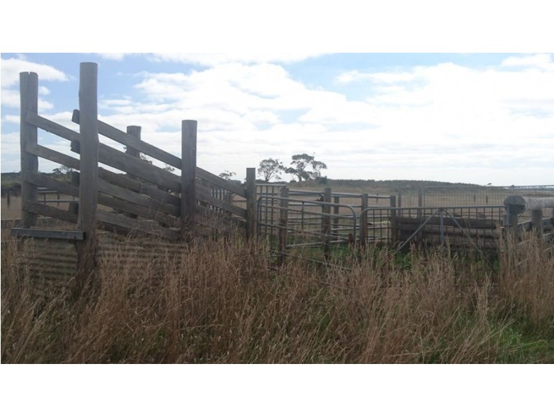 100 Hawks Nest Road, Camperdown VIC 3260