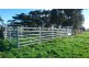 100 Cahars Lane, Chocolyn VIC 3260