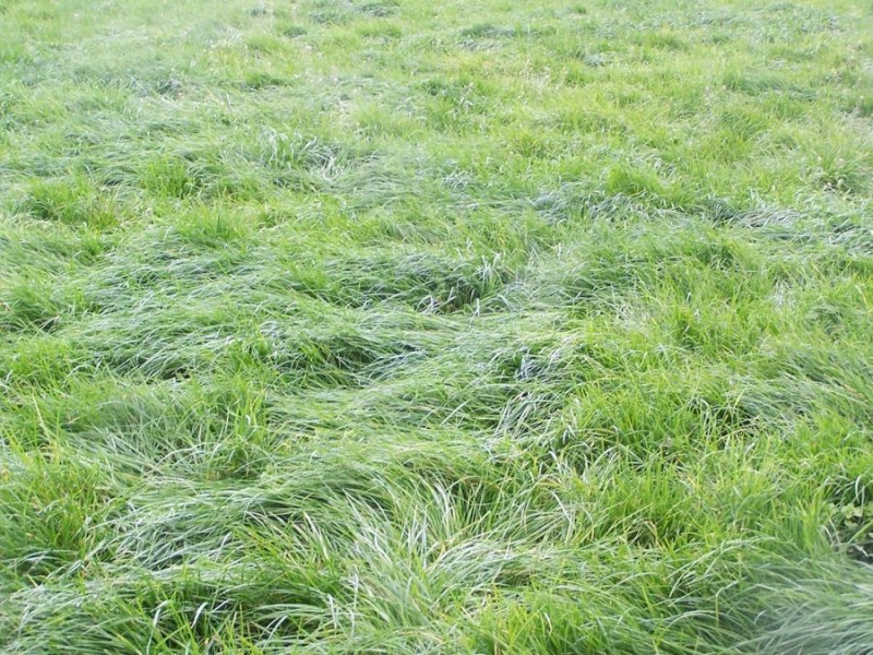 586 Dingey Road, Naringal East VIC 3277