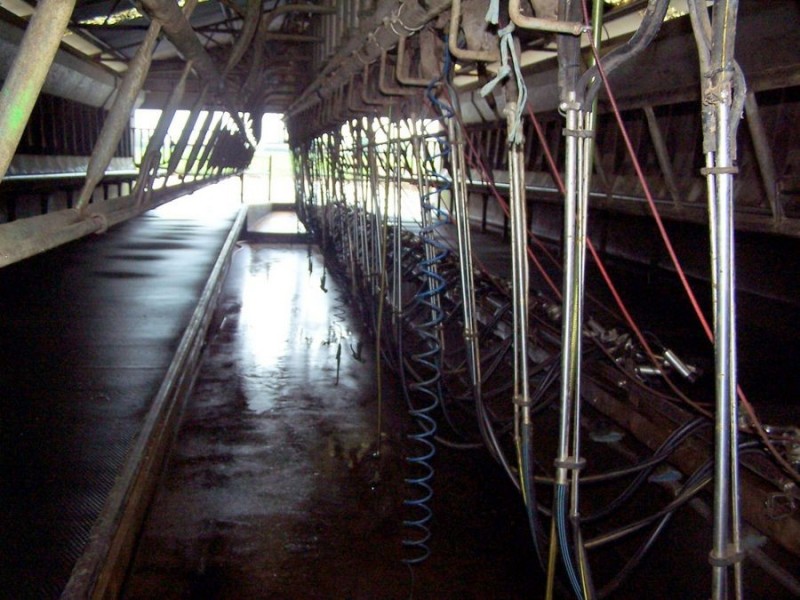 586 Dingey Road, Naringal East VIC 3277