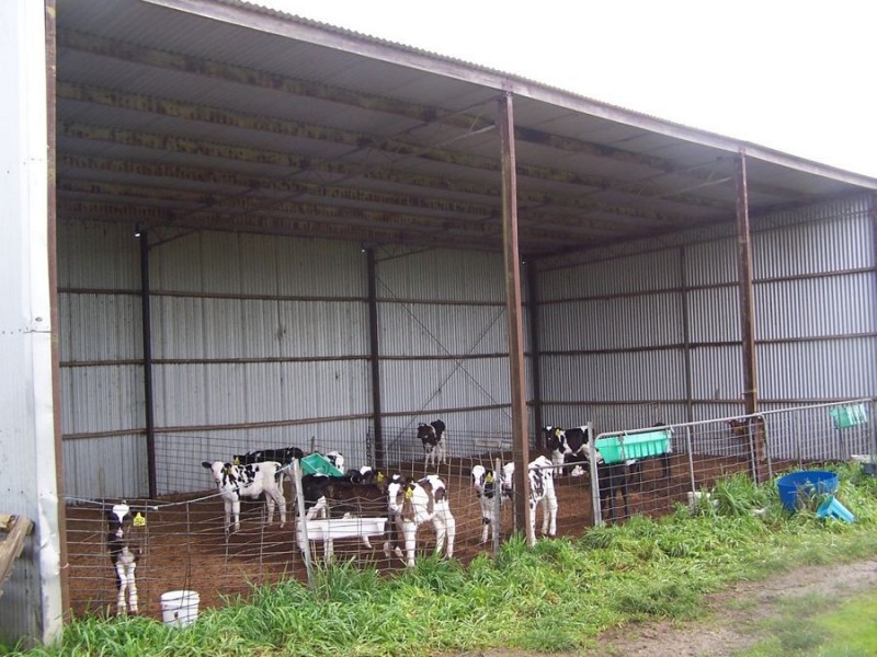 586 Dingey Road, Naringal East VIC 3277