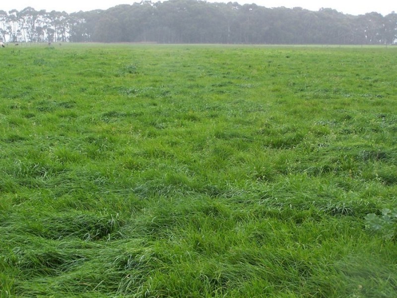 586 Dingey Road, Naringal East VIC 3277