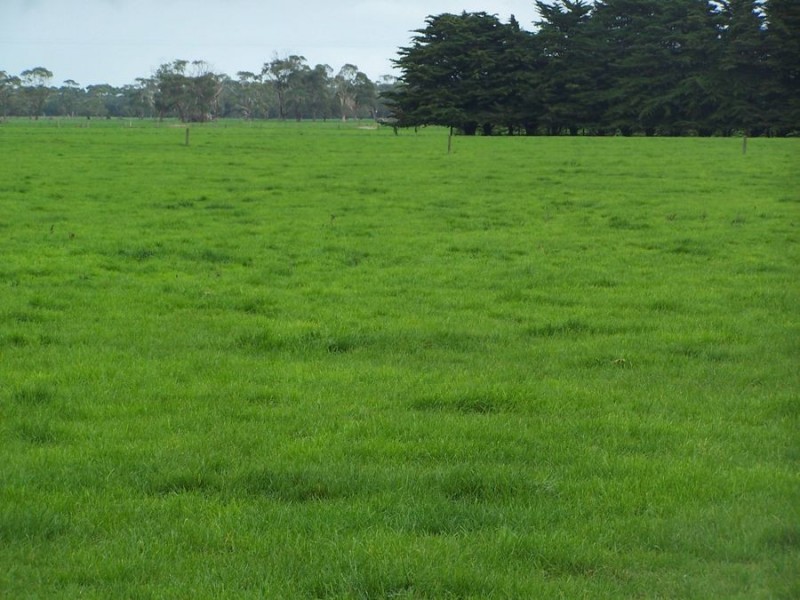 586 Dingey Road, Naringal East VIC 3277