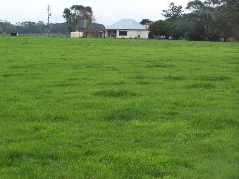 586 Dingey Road, Naringal East VIC 3277