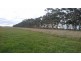 290 Milangil Estate Road, Kariah VIC 3260