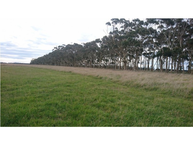 290 Milangil Estate Road, Kariah VIC 3260