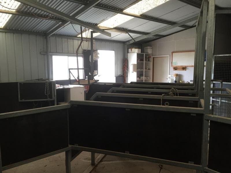 424 Cross Forest Road, Camperdown VIC 3260