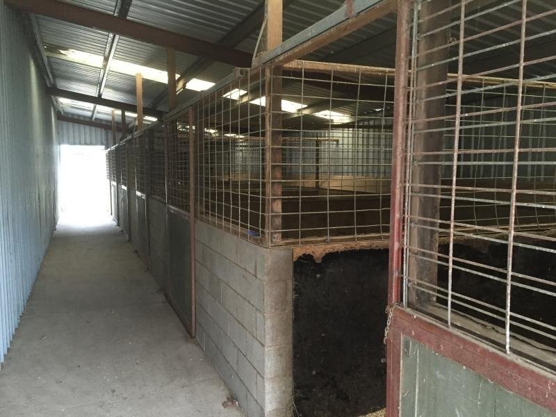 424 Cross Forest Road, Camperdown VIC 3260