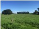 730 CAMPERDOWN-LISMORE Road, Chocolyn VIC 3260