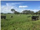 730 CAMPERDOWN-LISMORE Road, Chocolyn VIC 3260