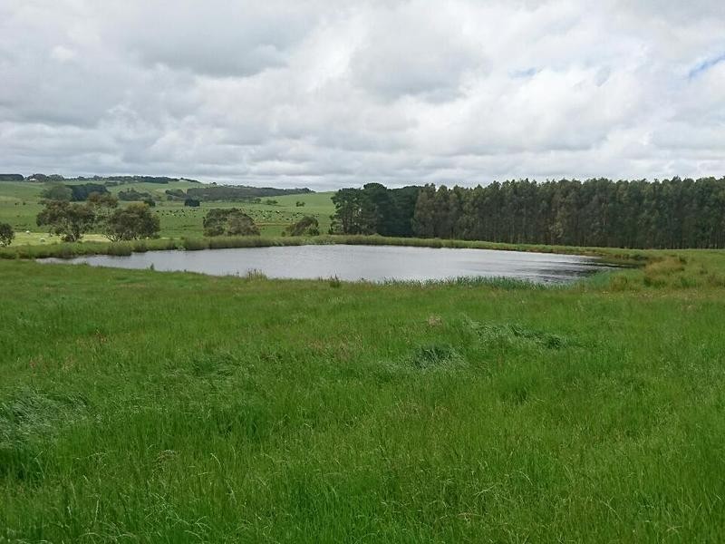 409 Turrong Road, Cooriemungle VIC 3268