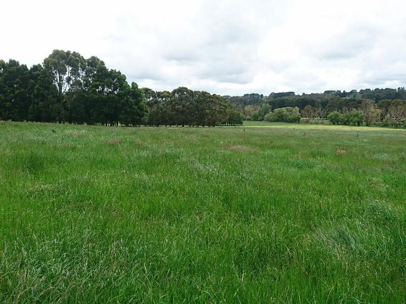 409 Turrong Road, Cooriemungle VIC 3268