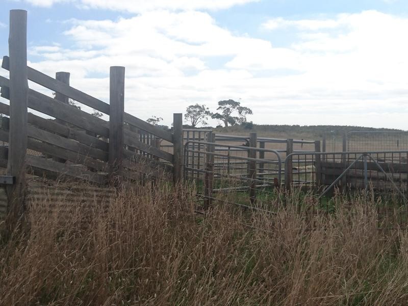 100 Hawks Nest Road, Camperdown VIC 3260