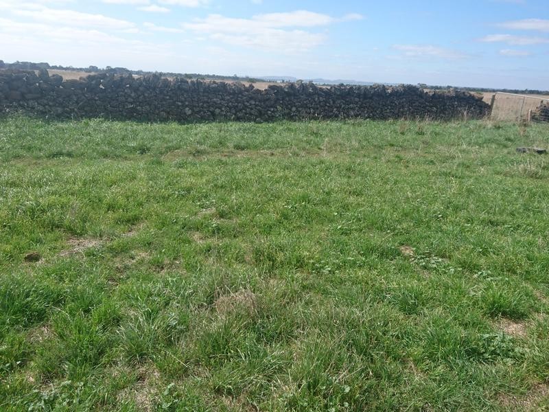 100 Hawks Nest Road, Camperdown VIC 3260